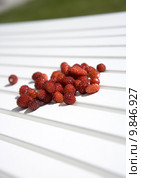 Wild Strawberries. Стоковое фото, фотограф Lisa Wahman / PantherMedia / Фотобанк Лори