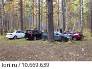Группа автомобилей в бору (2014 год). Редакционное фото, фотограф Анатолий Матвейчук / Фотобанк Лори