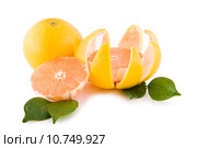 Red grapefruits with leafs. Стоковое фото, фотограф Artur Wojteczek / PantherMedia / Фотобанк Лори