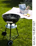 Grill background. Стоковое фото, фотограф Sebastian Duda / PantherMedia / Фотобанк Лори