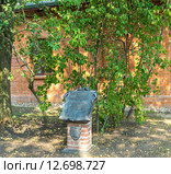 Домик сторожа, парк Лошица, Минск, Беларусь (2015 год). Редакционное фото, фотограф Владимир Макеев / Фотобанк Лори