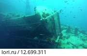 Железнодорожная цистерна на затонувшем судне SS Thistlegorm (2014 год). Редакционное видео, видеограф KEN VOSAR / Фотобанк Лори