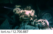 Груз мотоциклов в трюме затонувшего судна SS Thistlegorm (2014 год). Редакционное видео, видеограф KEN VOSAR / Фотобанк Лори