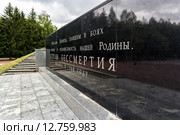 Курган Бессмертия. Фрагмент. Брянск (2015 год). Редакционное фото, фотограф Сергей Лаврентьев / Фотобанк Лори