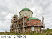 Село Барышье. Церковь Косьмы и Дамиана (2015 год). Стоковое фото, фотограф Сергей Лаврентьев / Фотобанк Лори