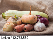 Fresh vegetables from the garden. Стоковое фото, фотограф Алёшина Оксана / Фотобанк Лори