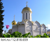 Собор Троицы Живоначальной в Троице-Сергиевой лавре. Город Сергиев Посад. Московская область (2011 год). Стоковое фото, фотограф lana1501 / Фотобанк Лори