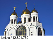 Золотые купола храма Христа Спасителя. Калининград, Россия (2013 год). Стоковое фото, фотограф Сергей Трофименко / Фотобанк Лори