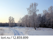 Проселочная дорога идущая вдоль заснеженного леса. Стоковое фото, фотограф Александр Тараканов / Фотобанк Лори