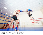 muai thai fighting technique. Стоковое фото, фотограф Дмитрий Калиновский / Фотобанк Лори