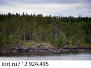 Церковь в лесу на острове Валаам. Стоковое фото, фотограф Сорокин Андрей / Фотобанк Лори