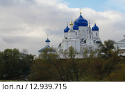 Свято-Боголюбский монастырь. Боголюбово. Владимирская область. (2015 год). Редакционное фото, фотограф Александр Ледовской / Фотобанк Лори