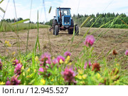 Freshly cut grass is dried on mown meadow, farm tractor. Светло синий фермерский трактор едет по выкошенному лугу, сенокос в Олонецком районе Карелии. (2006 год). Редакционное фото, фотограф Владимир Григорьев / Фотобанк Лори