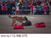 Interpolitex-2015. Демонстрационный показ бойцов спецназа ФСКН. Редакционное фото, фотограф Julia Shepeleva / Фотобанк Лори