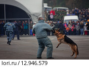 Ежегодная XIX Международная выставка средств обеспечения безопасности государства «ИНТЕРПОЛИТЕХ-2015» Показательные выступления на полигоне. Редакционное фото, фотограф Julia Shepeleva / Фотобанк Лори