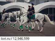 Interpolitex-2015. Конная полиция. Редакционное фото, фотограф Julia Shepeleva / Фотобанк Лори