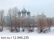 Покровский собор на Измайловском острове и дервья парка в Москве покрытые инеем в зимнее морозное утро (2015 год). Стоковое фото, фотограф Горшков Игорь / Фотобанк Лори