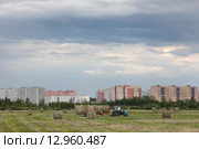 Тракторист убирает сено на фоне города Шатуры (2015 год). Стоковое фото, фотограф Дмитрий Неумоин / Фотобанк Лори