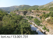 Дельта реки Морача, в Черногории (2015 год). Стоковое фото, фотограф Алексей Гусев / Фотобанк Лори