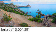 Coastline of Novyj Svit reserve (Crimea, Ukraine) Стоковое фото, фотограф Юрий Брыкайло / Фотобанк Лори
