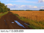 Полевая дорога в лужах. Стоковое фото, фотограф Анатолий Матвейчук / Фотобанк Лори