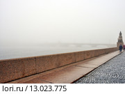 Санкт-Петербург. Туманная набережная Невы (2015 год). Стоковое фото, фотограф Александр Алексеев / Фотобанк Лори
