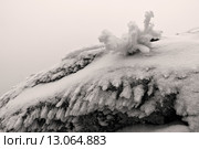 Иней намерзший на скале. Стоковое фото, фотограф Евгений Прокофьев / Фотобанк Лори