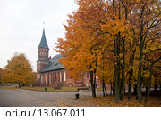 Калининград (Кёнигсберг). Кафедральный собор (2015 год). Редакционное фото, фотограф Svet / Фотобанк Лори