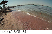 Песчаный пляж с лежаками на Красном море, Хургада, Египет. Широкий угол (2015 год). Стоковое видео, видеограф Кекяляйнен Андрей / Фотобанк Лори