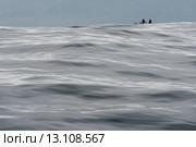 Tourist fishing in the Pacific Ocean, Skeena-Queen Charlotte Regional District, Haida Gwaii, Graham Island, British Columbia, Canada. Стоковое фото, фотограф Keith Levit / Ingram Publishing / Фотобанк Лори
