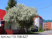 Заводоуковская весна на улице Щорса (2015 год). Редакционное фото, фотограф Анатолий Матвейчук / Фотобанк Лори