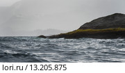 Island in the Pacific Ocean, Skeena-Queen Charlotte Regional District, Haida Gwaii, Graham Island, British Columbia, Canada. Стоковое фото, фотограф Keith Levit / Ingram Publishing / Фотобанк Лори