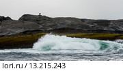 Waves breaking on the coast, Skeena-Queen Charlotte Regional District, Haida Gwaii, Graham Island, British Columbia, Canada. Стоковое фото, фотограф Keith Levit / Ingram Publishing / Фотобанк Лори