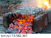 Куриное мясо запекается на костре на решетке гриль. Стоковое фото, фотограф Иванов Алексей / Фотобанк Лори