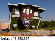 Парк цветов в Дубае (Dubai Miracle Garden). Объединённые Арабские Эмираты (2014 год). Редакционное фото, фотограф Сергей Афанасьев / Фотобанк Лори