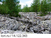 Большая каменная река. Таганай. Южный Урал (2015 год). Редакционное фото, фотограф Дмитрий Шульгин / Фотобанк Лори
