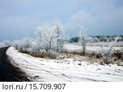 Обочина зимней дороги. Стоковое фото, фотограф Левончук Юрий / Фотобанк Лори