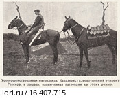 Усовершенствованная митральеза. Кавалерист, вооруженный ружъем Рексера, и лошадь, навьюченная патронами к этому ружью. Иллюстрация из журнала "Нива" № 23 1905 года. Стоковая иллюстрация, иллюстратор Макаров Алексей / Фотобанк Лори