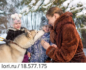 Женщина и двое детей  с хаски. Стоковое фото, фотограф Юрий Викулин / Фотобанк Лори