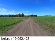 Широкая грунтовая дорога меж полей (2015 год). Редакционное фото, фотограф Анатолий Матвейчук / Фотобанк Лори