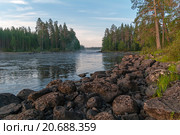 Раннее утро на речном берегу. Река Чирка-Кемь, Карелия. Стоковое фото, фотограф Сергей Рыбин / Фотобанк Лори