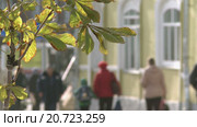 Толпа людей идут по городу. Стоковое видео, видеограф Андрей Шалари / Фотобанк Лори