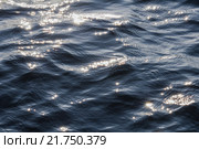 Поверхность моря с солнечными зайчиками на волнах. Стоковое фото, фотограф Роман Ушаков / Фотобанк Лори