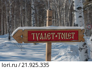 Указатель направления в туалет в зимнем лесу. Стоковое фото, фотограф Аlexander Reshetnik / Фотобанк Лори