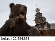 Чучело медведя на фоне Воскресенской деревянной церкви в Музее деревянного зодчества в городе Суздаль Владимирской области, Россия (2016 год). Редакционное фото, фотограф Николай Винокуров / Фотобанк Лори