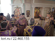 Празднование 500-летия со дня преставления святителя Серапиона в храме Покрова Пресвятой Богородицы, город Балашиха (2016 год). Редакционное фото, фотограф Дмитрий Неумоин / Фотобанк Лори