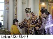 Празднование 500-летия со дня преставления святителя Серапиона в храме Покрова Пресвятой Богородицы, город Балашиха (2016 год). Редакционное фото, фотограф Дмитрий Неумоин / Фотобанк Лори