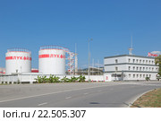 Сочи, Россия, грузовой двор "Сочинский". Хранилище нефтепродуктов компании Лукойл (2015 год). Редакционное фото, фотограф Игорь Долгов / Фотобанк Лори