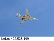 Сверхзвуковой стратегический бомбардировщик дальней авиации Ту-160 («Белый лебедь») (2015 год). Редакционное фото, фотограф Free Wind / Фотобанк Лори