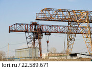 Козловые подъемные краны. Стоковое фото, фотограф Александр Щепин / Фотобанк Лори
